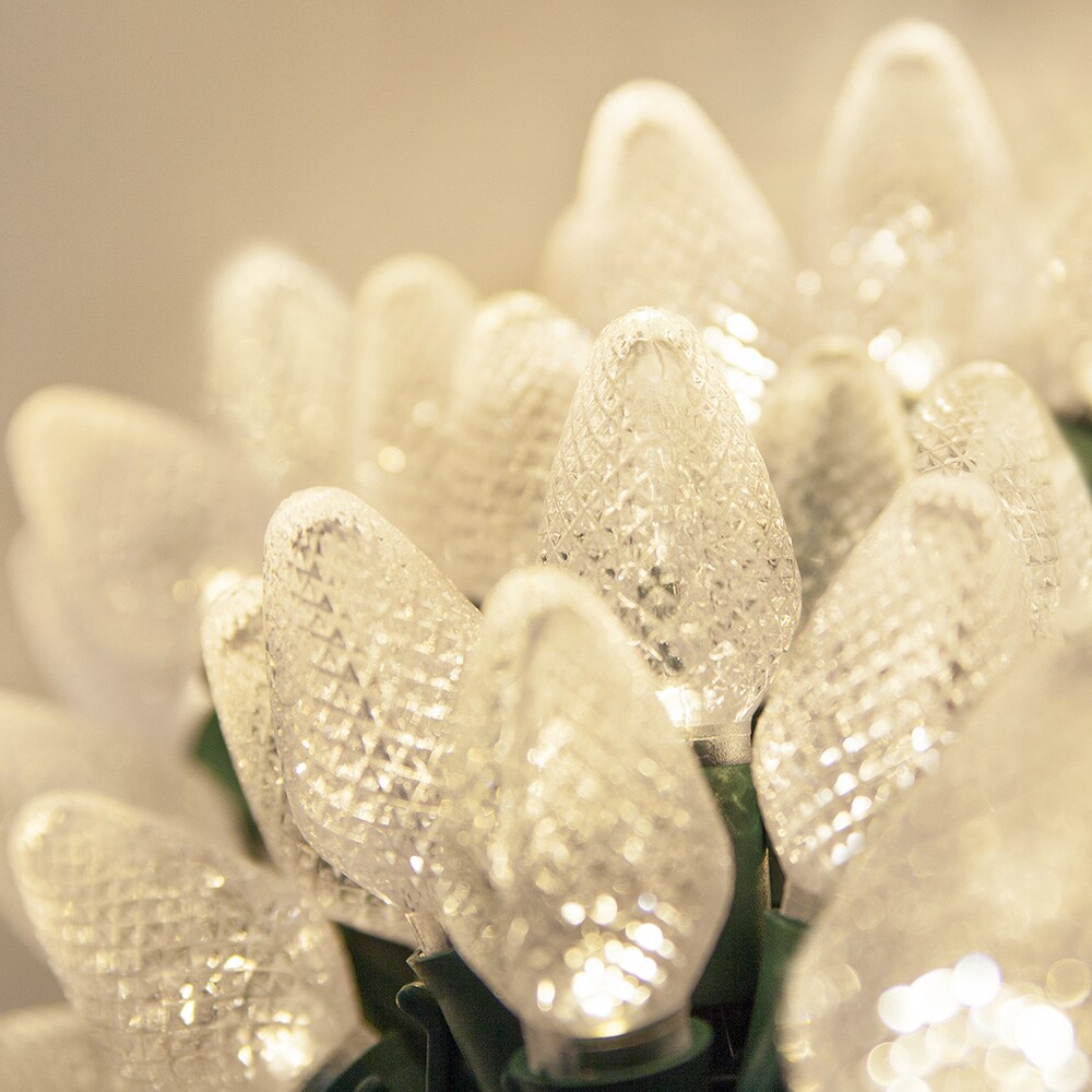 25 Warm White C7 LED Christmas Lights, Green Wire, 8" Spacing