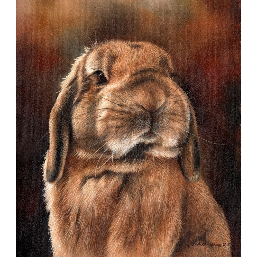 Lop Rabbit Poster Print By Sarah Stribbling