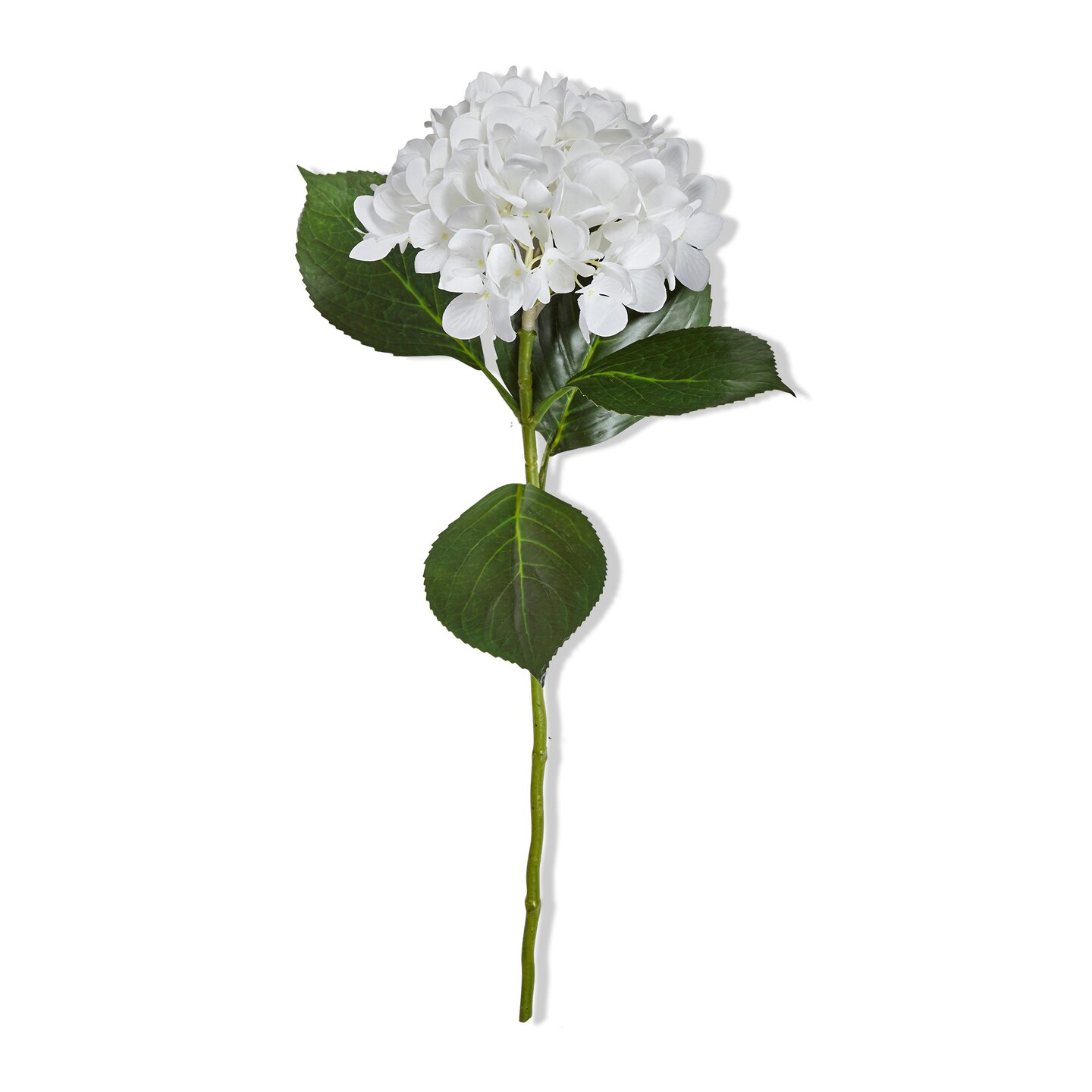 27.15" White Hydrangea Stem - Artificial Leaf Spray for Indoor Decor - Everyday Botanicals - Polyester