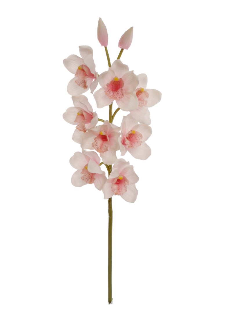 12-Pack: Real Touch Light Pink Cymbidium Orchid Stem by Floral Home&#xAE;