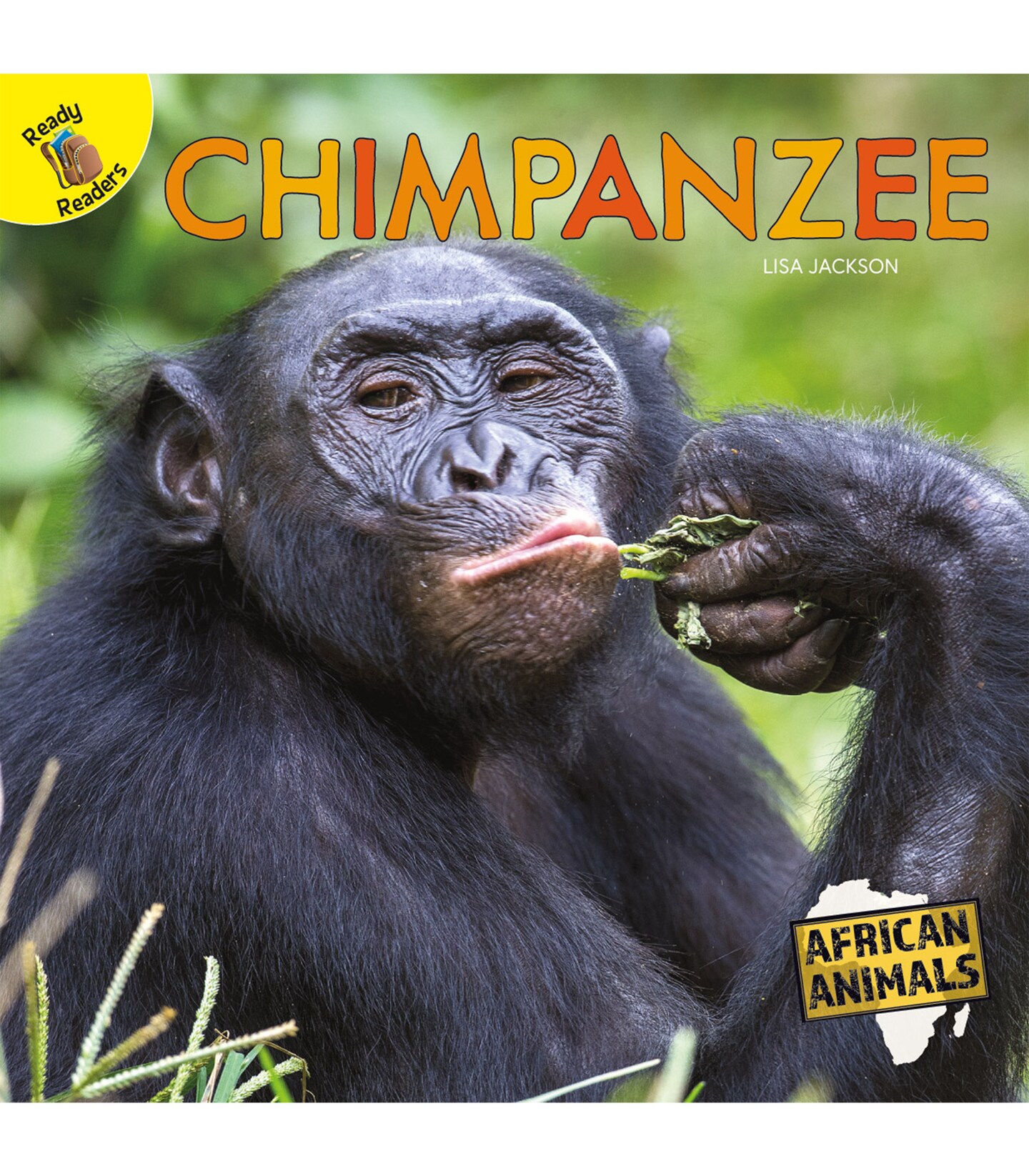 Rourke Educational Media African Animals Chimpanzee Reader