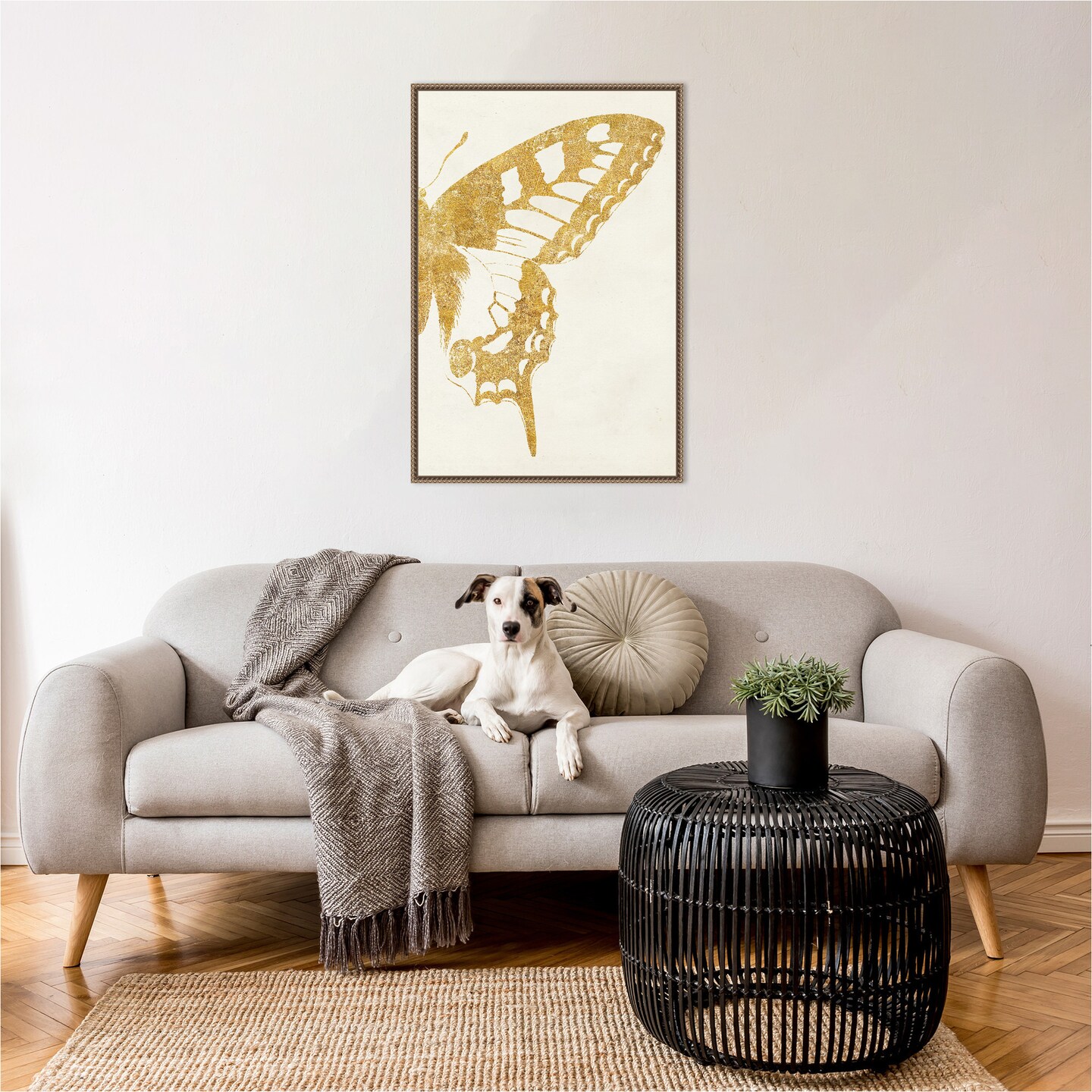 Butterfly Wings II by Wild Apple Portfolio Framed Canvas Wall Art