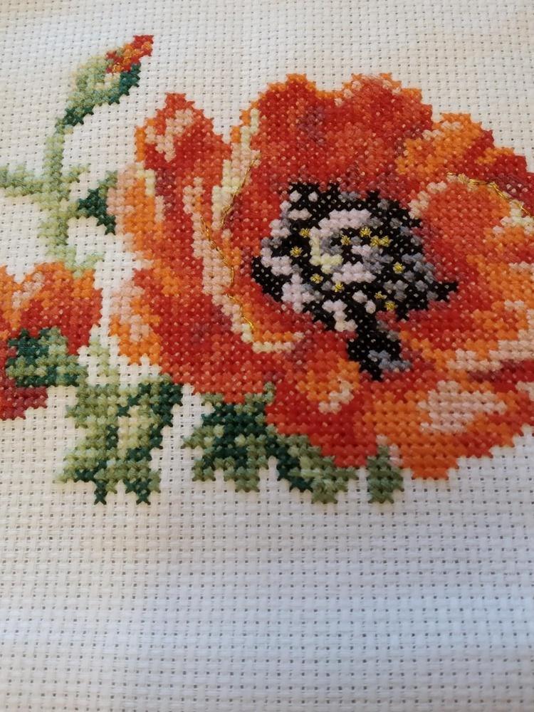Poppy 0-80 Counted Cross-Stitch Kit