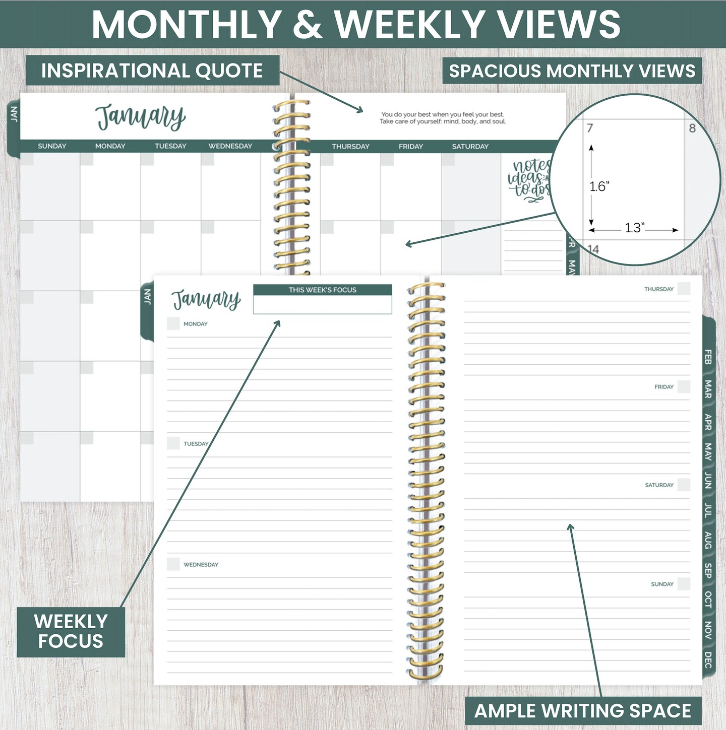 bloom daily planners Undated Soft Cover Planner, 5.5&#x22; x 8.25&#x22;, Eucalyptus
