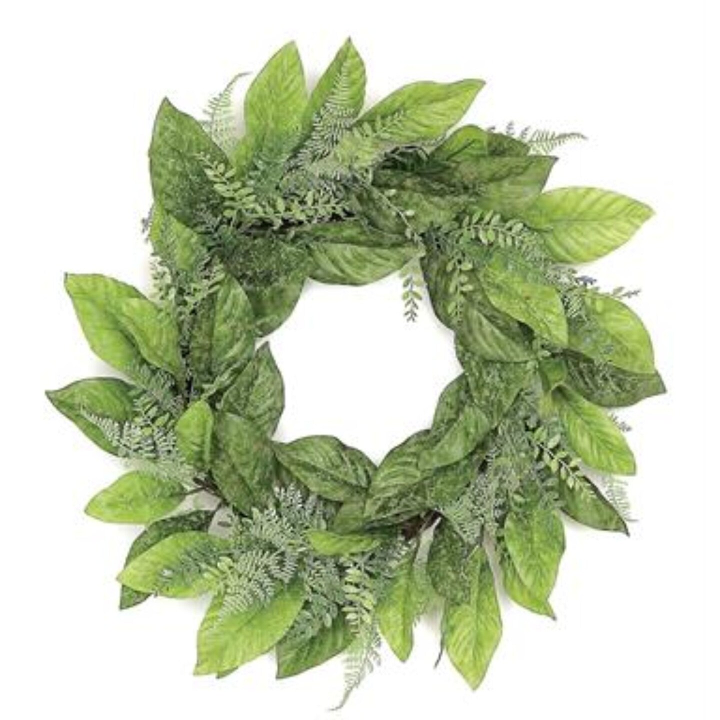 Select Artificials Magnolia Foliage, Ferns and Tea Leaves Artificial Spring Wreath, Green 24-Inch