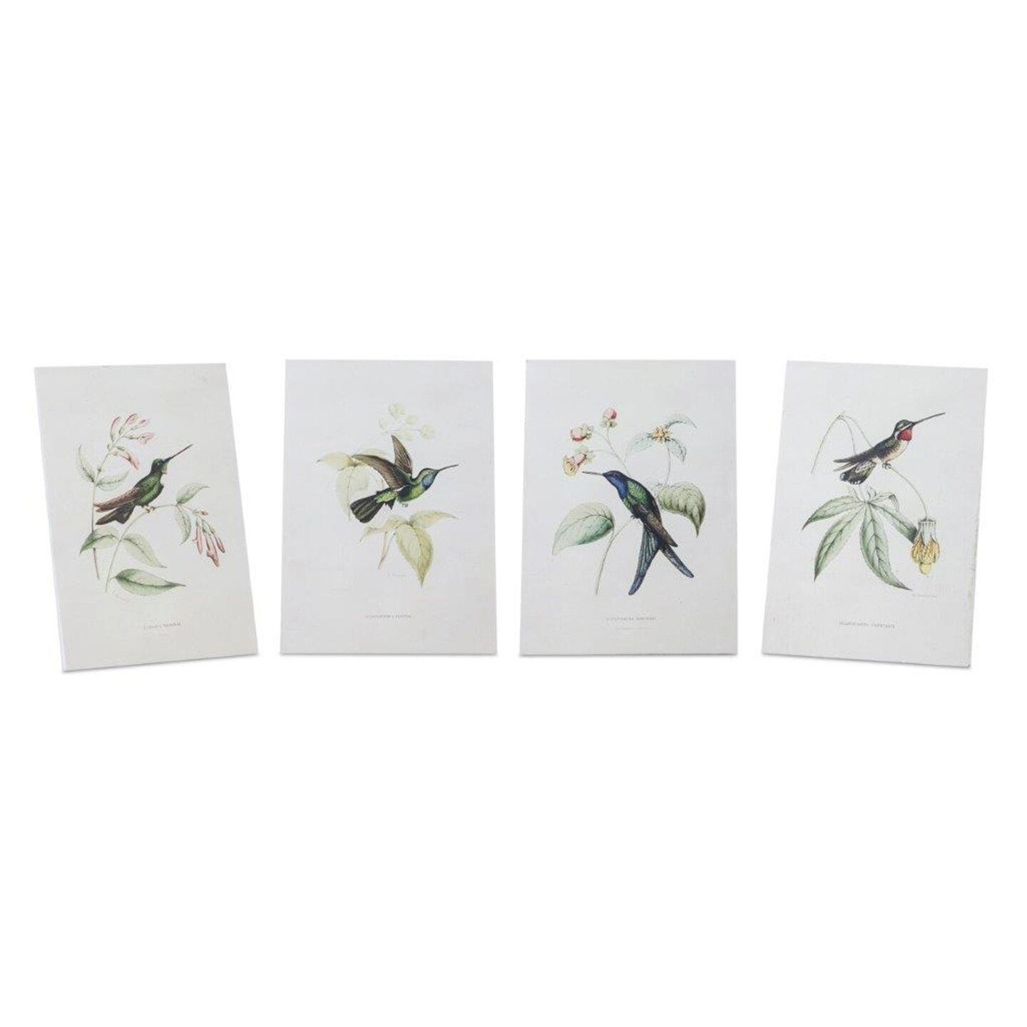 Melrose Set of 4 White and Green Hummingbird Wall Decoration