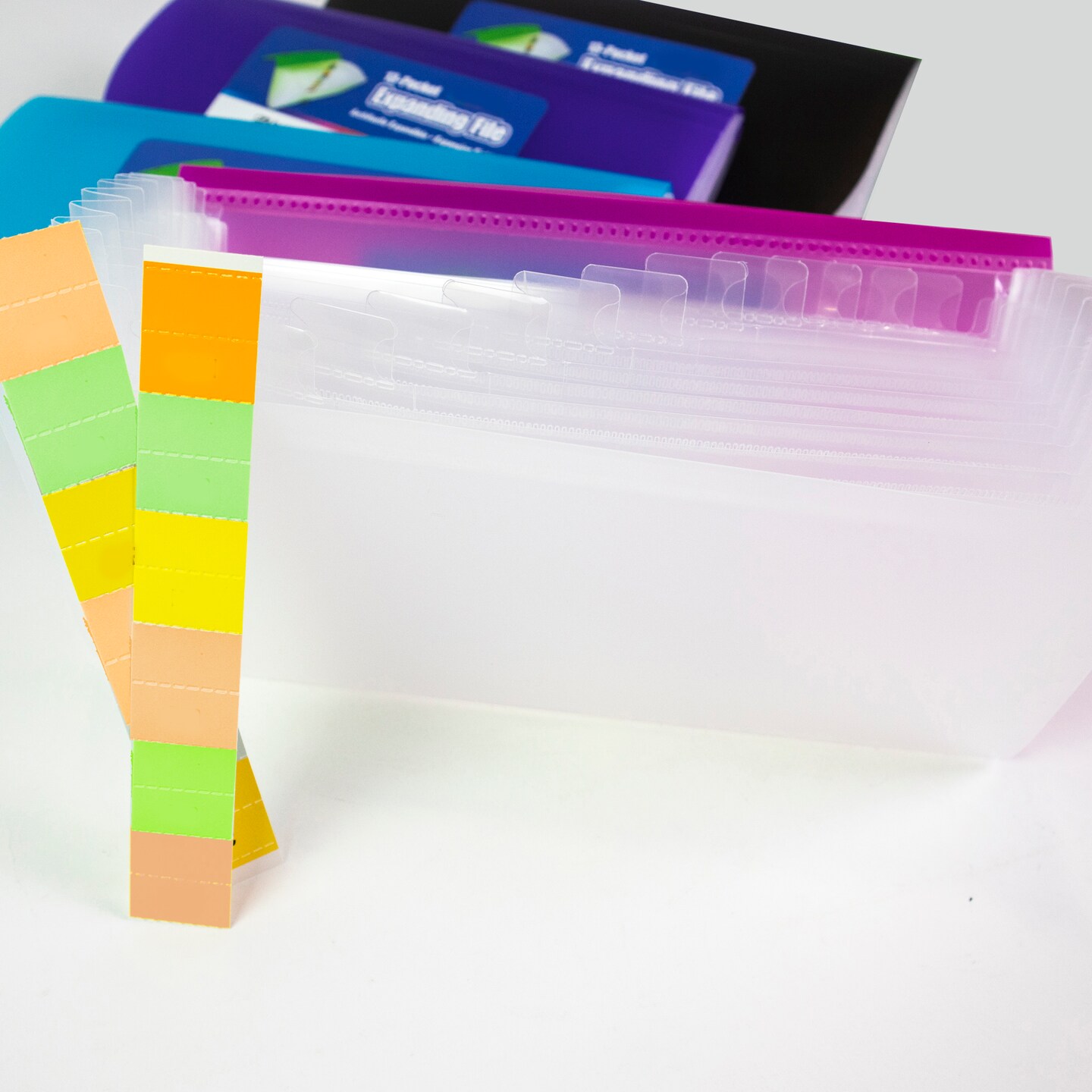 BAZIC Expanding File Check Size Poly 13-Pocket