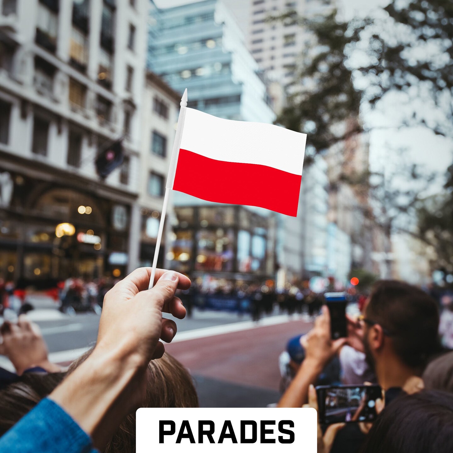 G128 30 Pack Handheld Poland Polish Stick Flags | 4x6 In | Printed 150D Polyester, Country Flag, Solid Plastic Stick, Spear White Tip