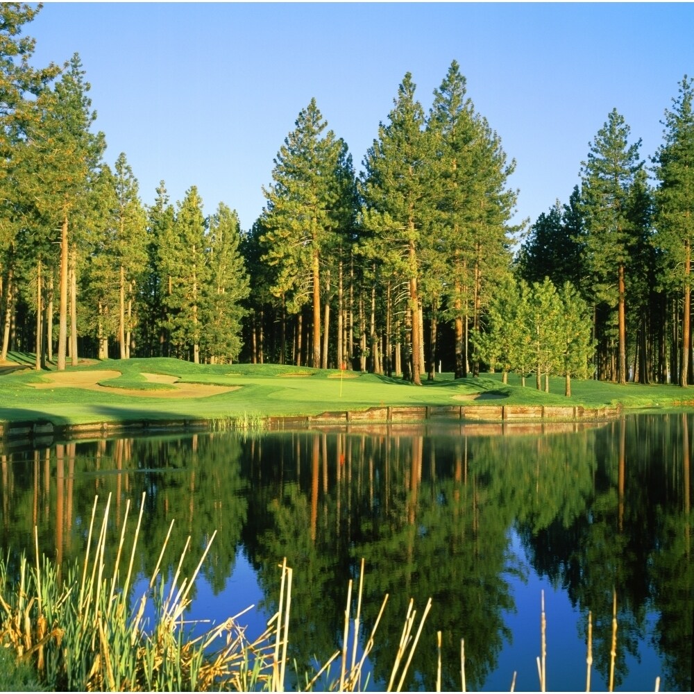 Reflection Of Trees On Water Edgewood Tahoe Golf Course Stateline