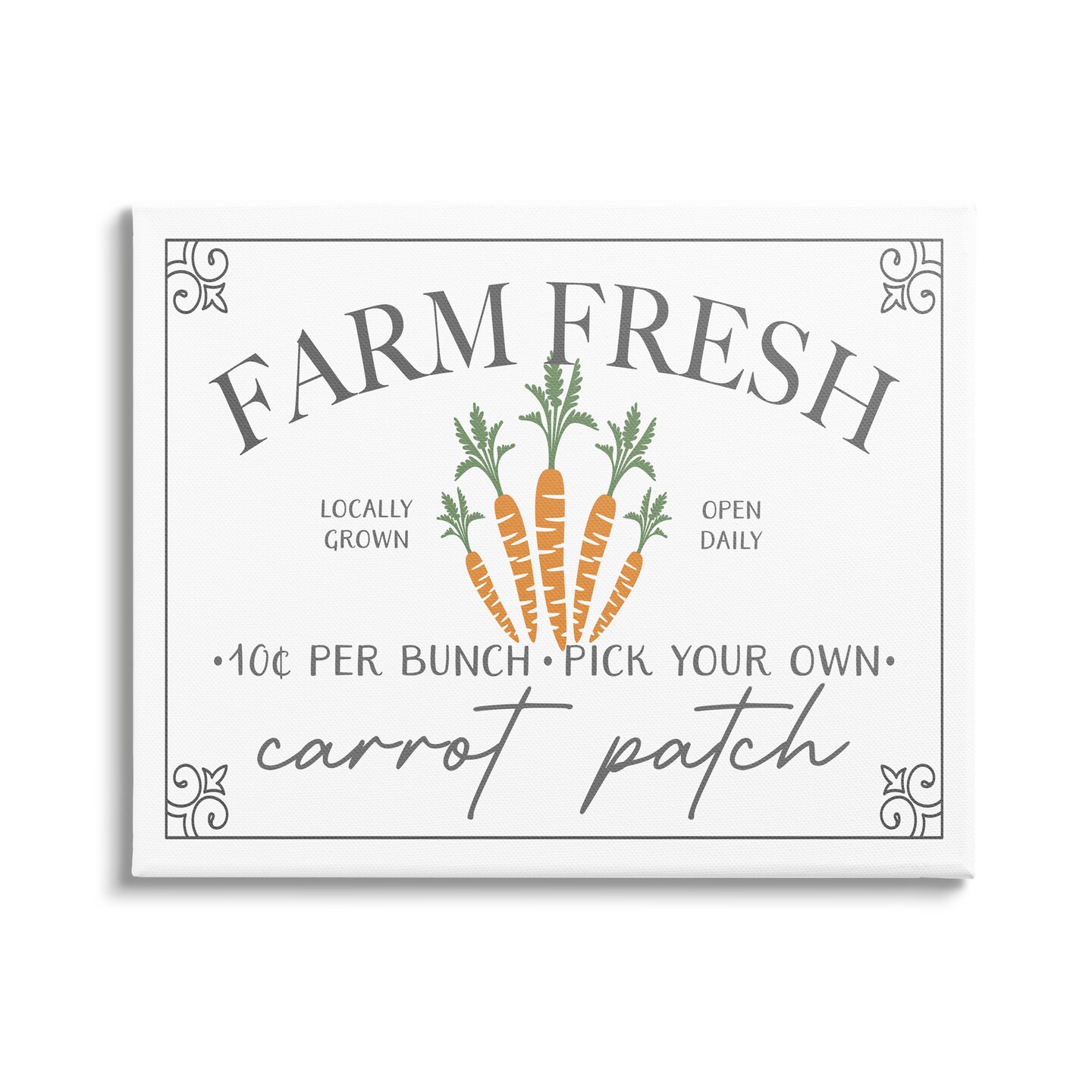 Stupell Industries Farm Fresh Carrot Patch Canvas Wall Art