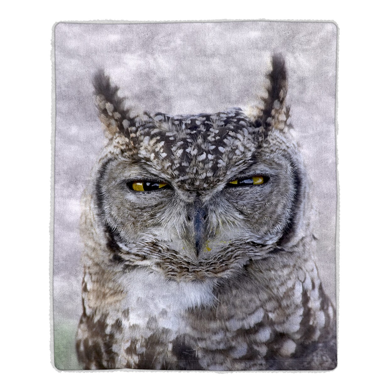 Lavish Home Sherpa Fleece Throw Blanket- Owl Print Lightweight Bed or Couch Soft Snuggly