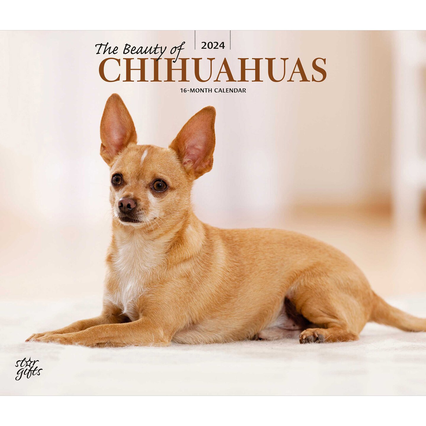 The Beauty of Chihuahuas | 2024 14 x 24 Inch Monthly Deluxe Wall Calendar |  Sticker Sheet | StarGifts | Animal Dog Breeds | Michaels
