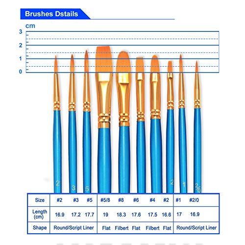BOSOBO Paint Brushes Set, 2 Pack 20 Pcs Round Pointed Tip Paintbrushes Nylon Hair Artist Acrylic Paint Brushes for Acrylic Oil Watercolor, Face Nail Art, Miniature Detailing and Rock Painting, Blue
