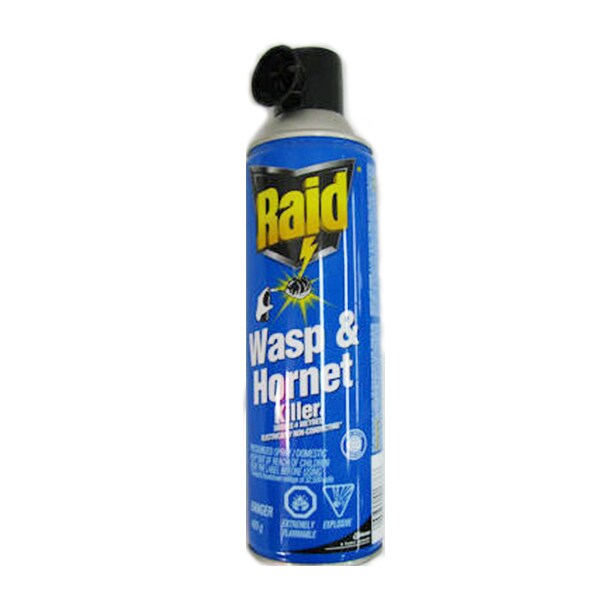 Raid   Outdoor Ant Nest Destroyer (400g)