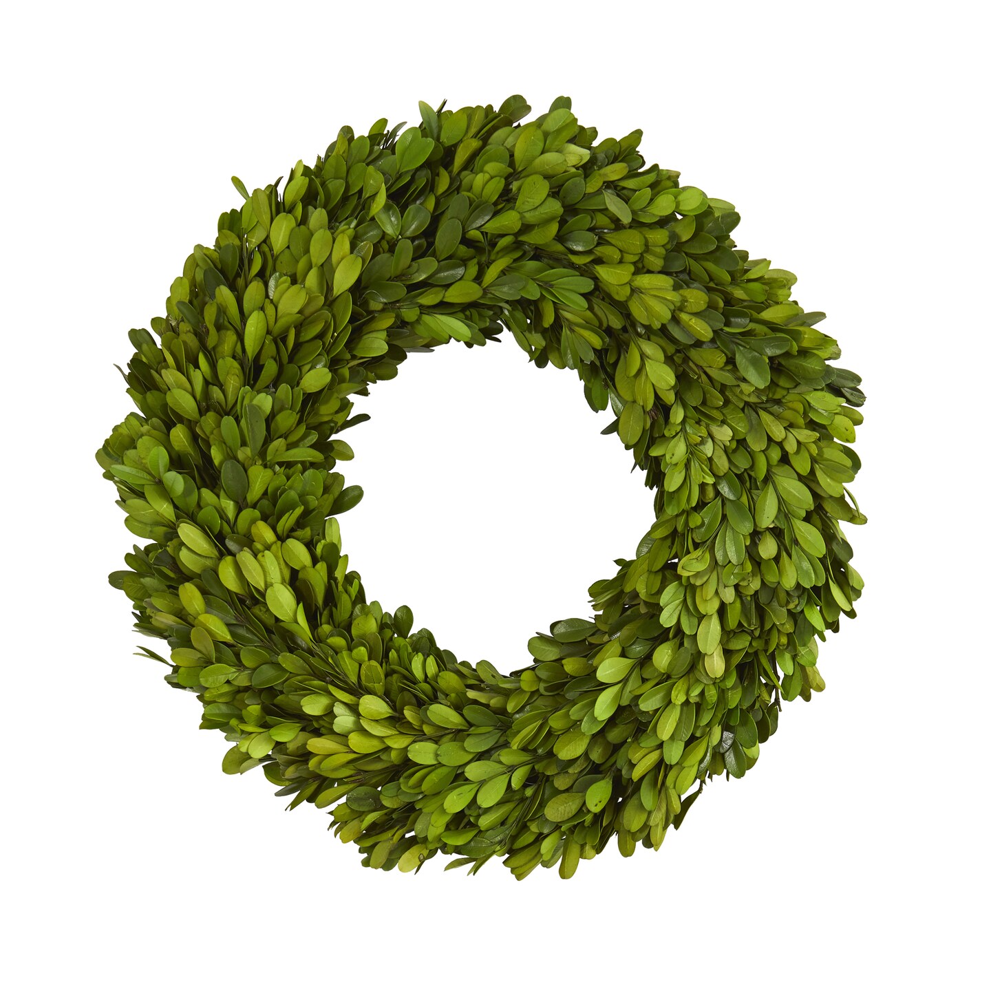 Nearly Natural Preserved Boxwood Artificial Wreath, 14-Inch, Unlit