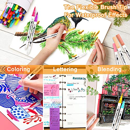 Caliart 34 Dual Brush Pens Art Markers, Artist Fine & Brush Tip