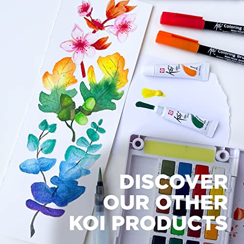  SAKURA Koi Pocket Field Sketch Kit - Watercolor Sets for  Painting On the Go - 30 Colors - 1 Water Brush - 1 Sponge - 1 Mixing Palette