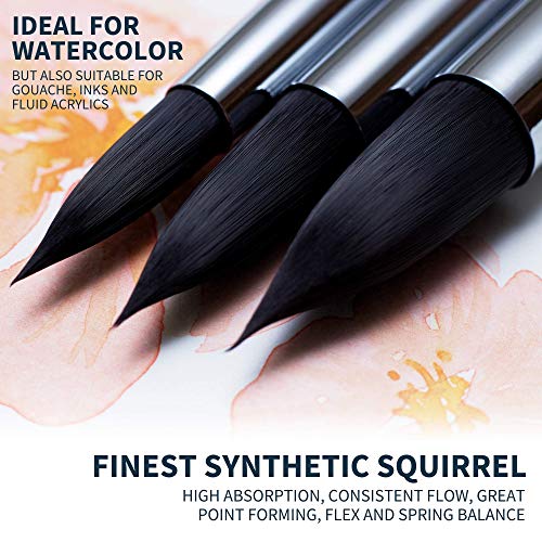 Watercolor Brush Set - 10 Professional Watercolor Paint Brushes for Artists - Soft Synthetic Squirrel Hair, Short Handles: Pointed Rounds, Flats, Dagger, Oval Wash for Water Color, Gouache