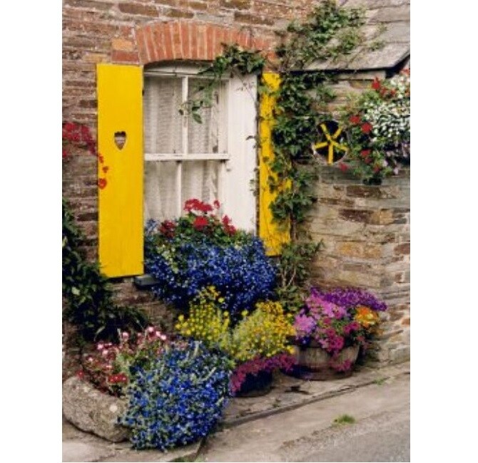 Outdoor Living and Style Blue and Purple Polperro Outdoor Canvas Rectangular Wall Art Decor 40" x 30"