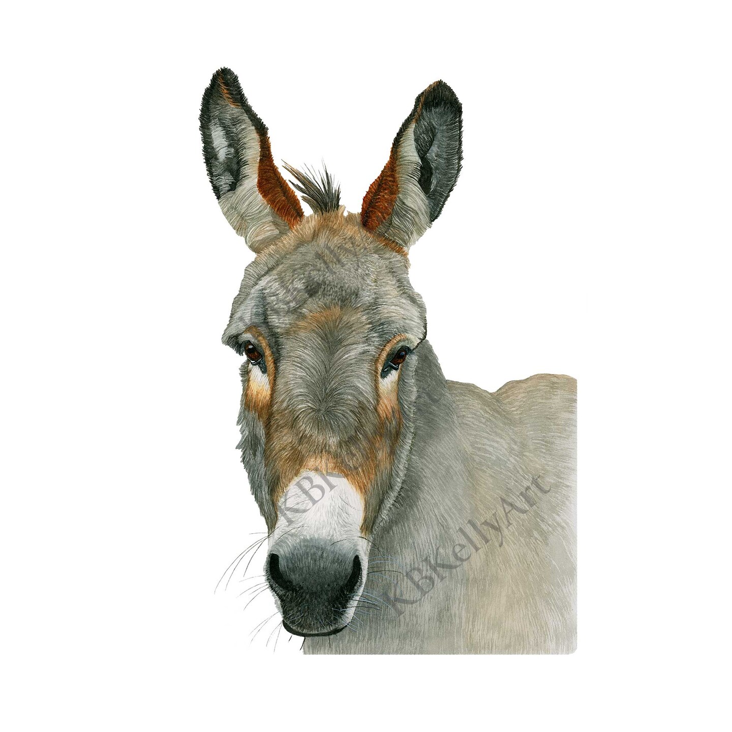 Donkey Watercolor Art Print Donkey Painting Donkey Wall Art Farm Animal ...