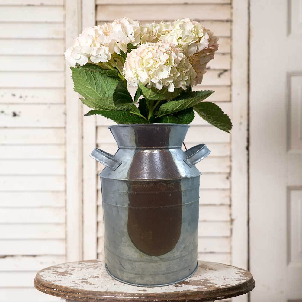 Saltoro Sherpi Countryside Galvanized Metal Milk Can Shape Pitcher, Gray-