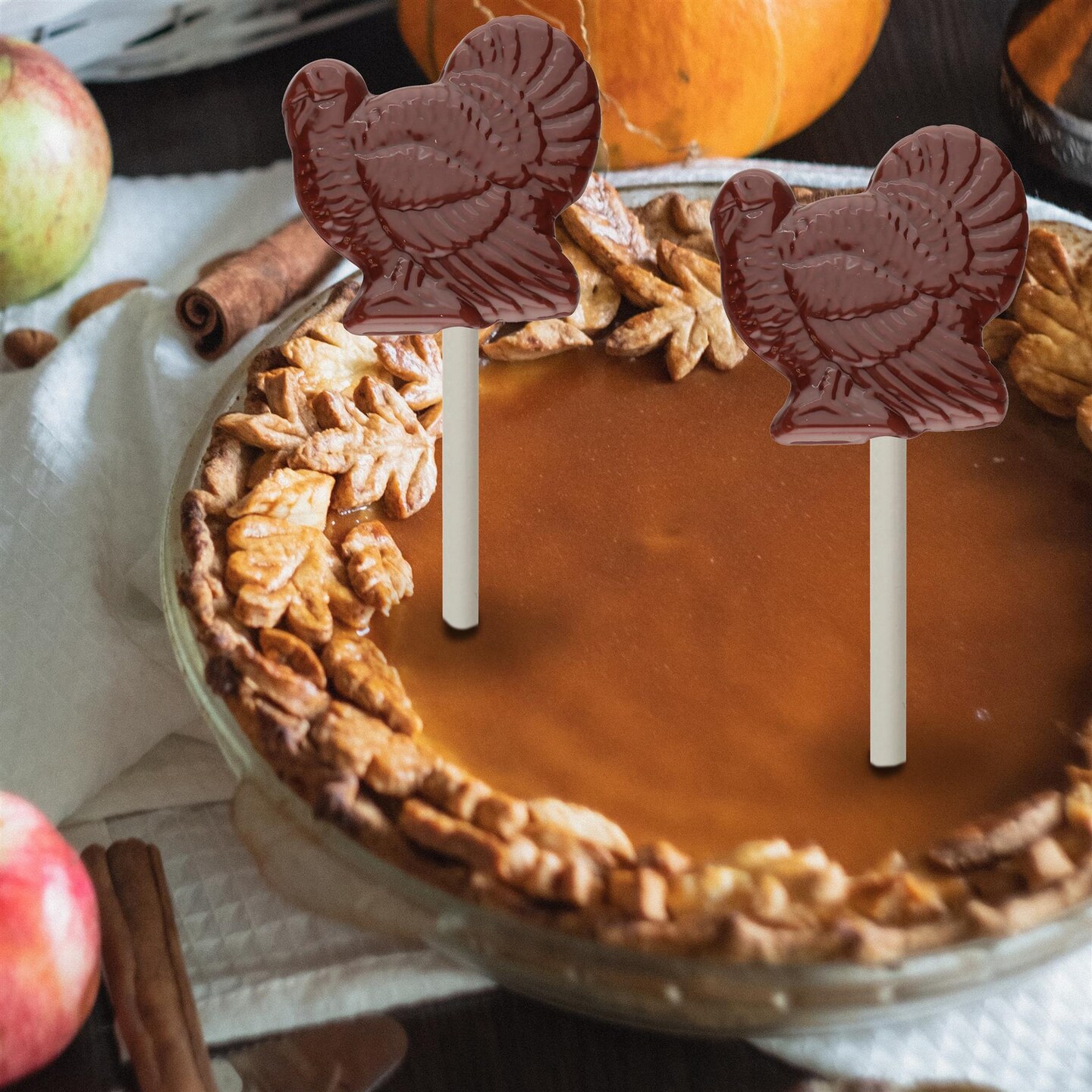 Chocolate Mold Turkey Lolly