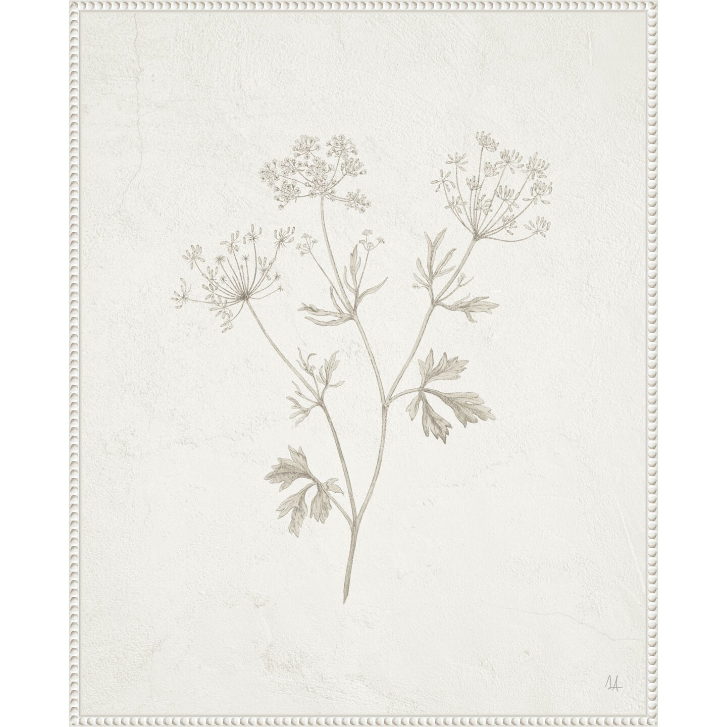 Gifts from the Meadow IV by Sarah Adams Framed Canvas Wall Art