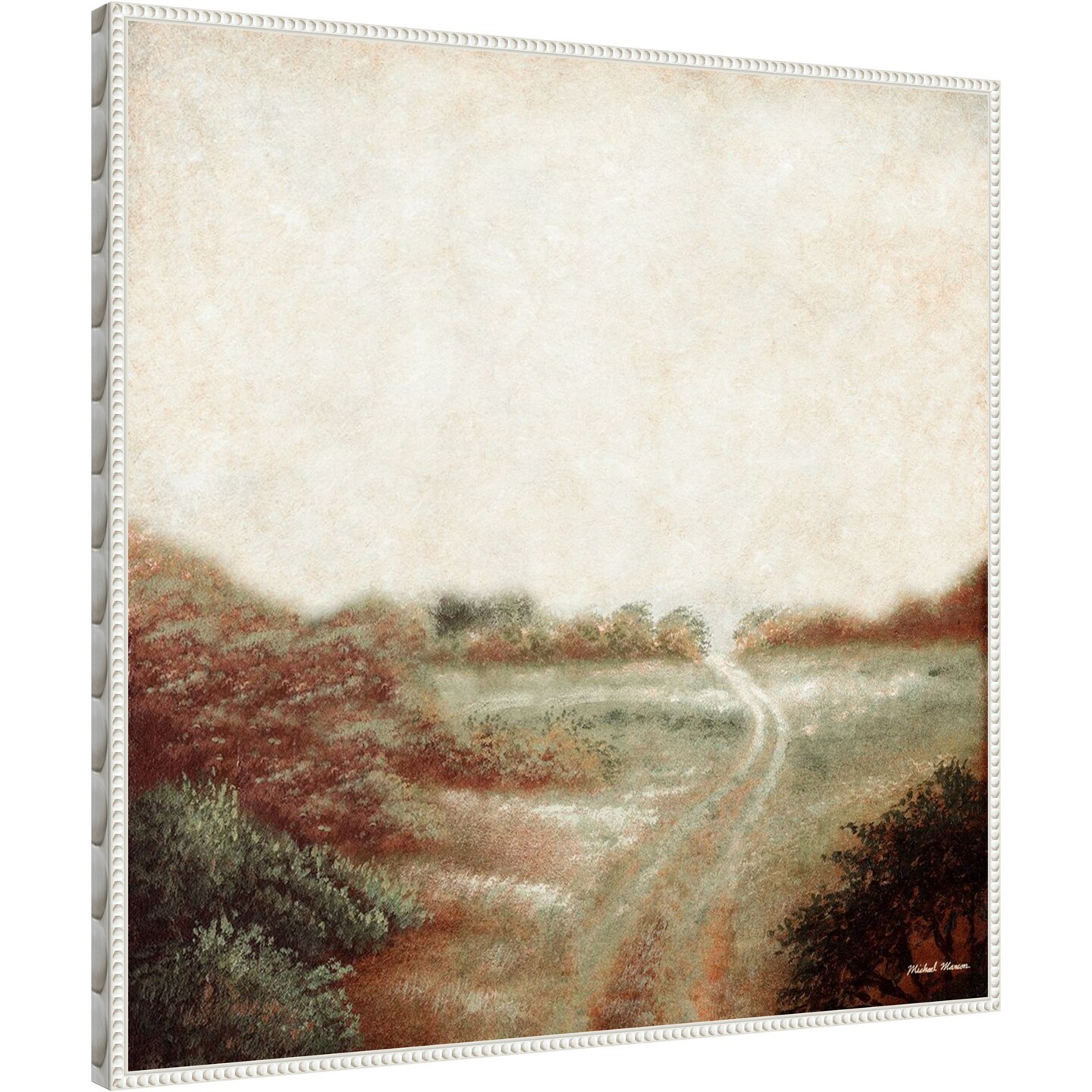 Ethereal Field by Michael Marcon Framed Canvas Wall Art