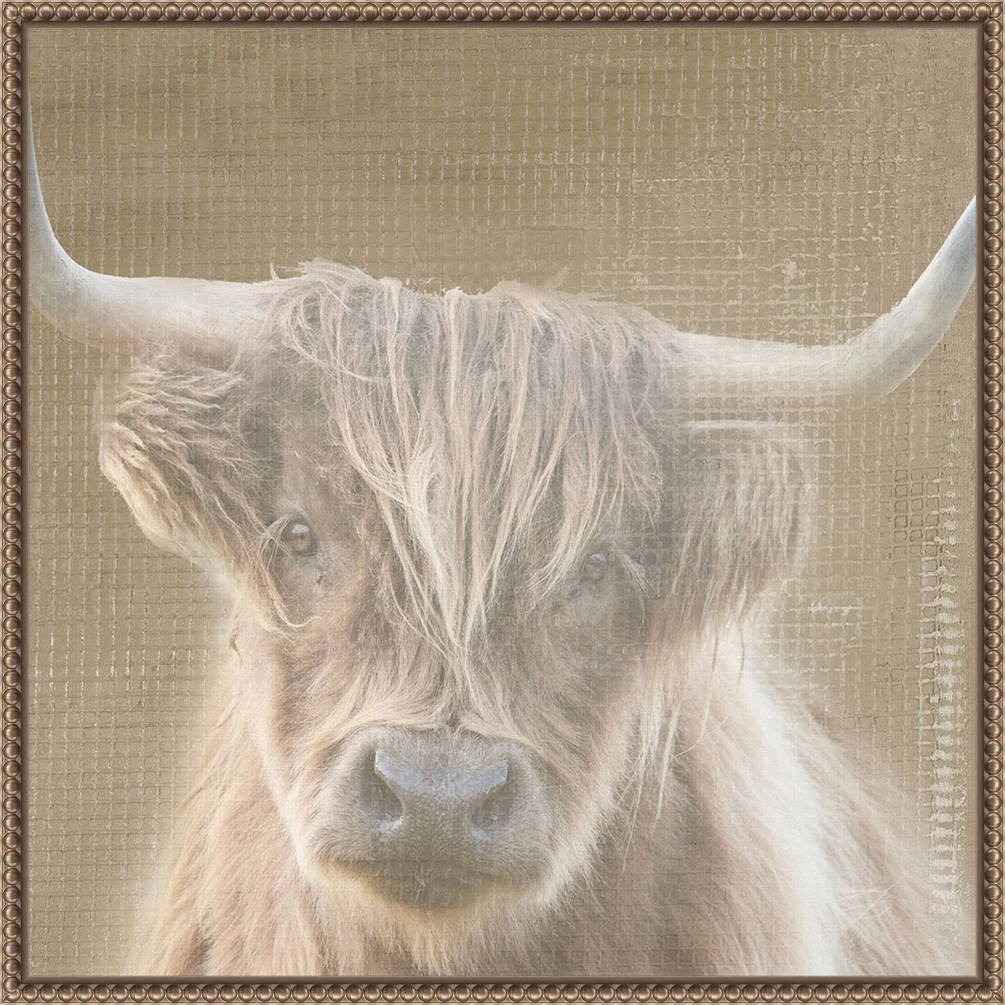 Soulful Bull by Patricia Pinto Framed Canvas Wall Art
