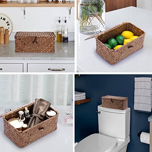 Hipiwe Set of 2 Flat Woven Wicker Storage Bins with Lid Natural Seagrass  Basket Multipurpose Home Boxes for Shelf Organizer (Coffee)