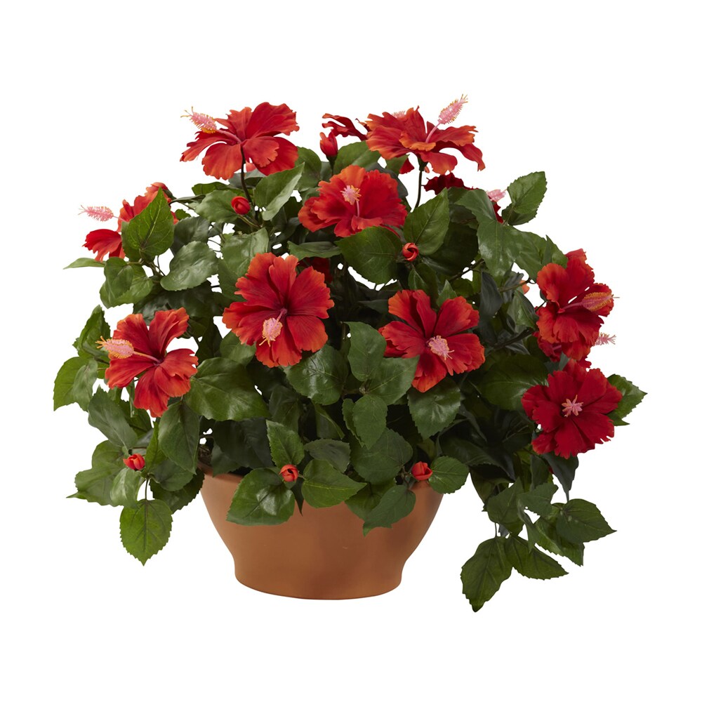 Nearly Natural   Hibiscus with Clay Planter