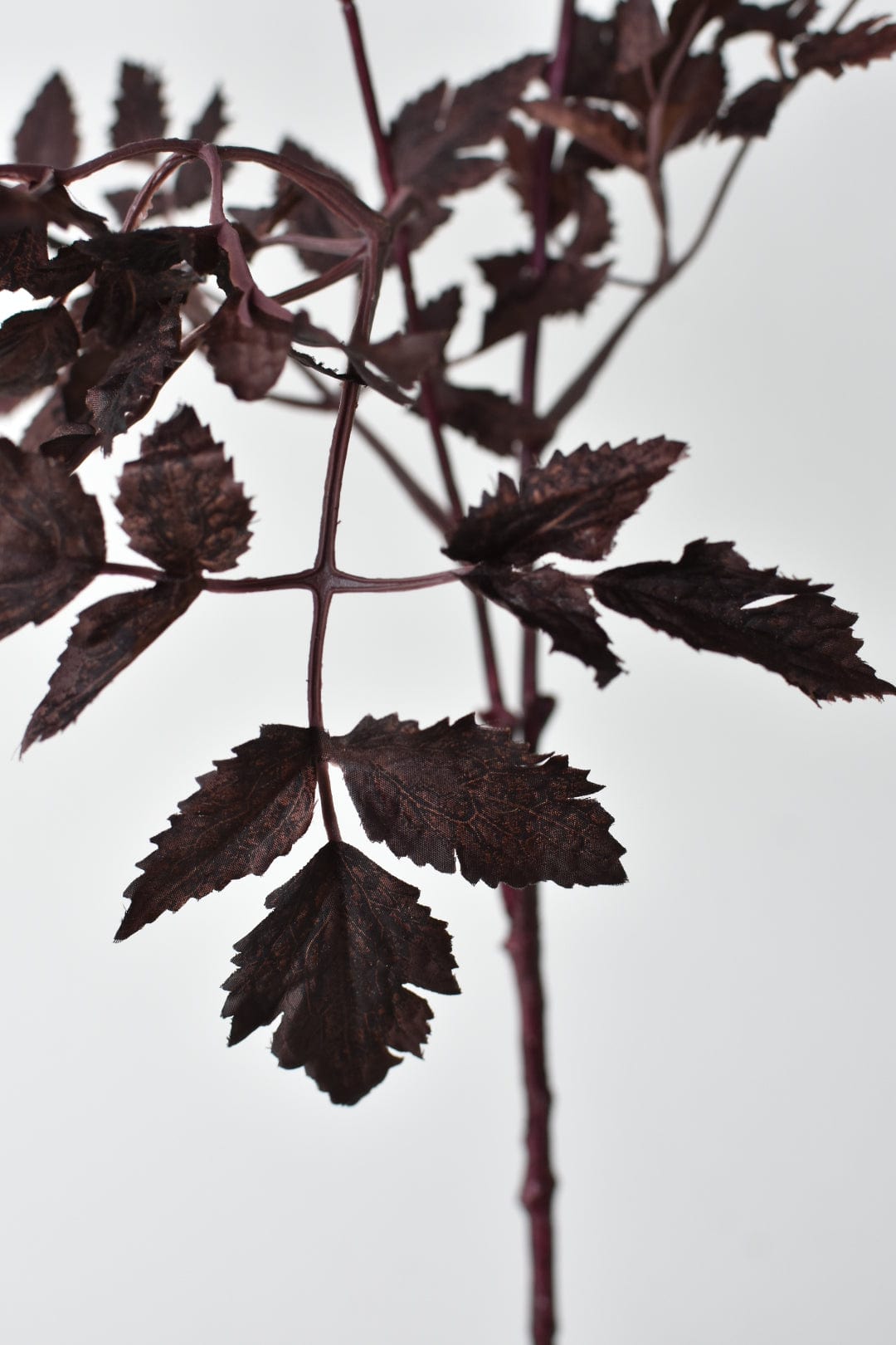 31&#x22; Faux Cimicifunga Ramosa Stem: Plum