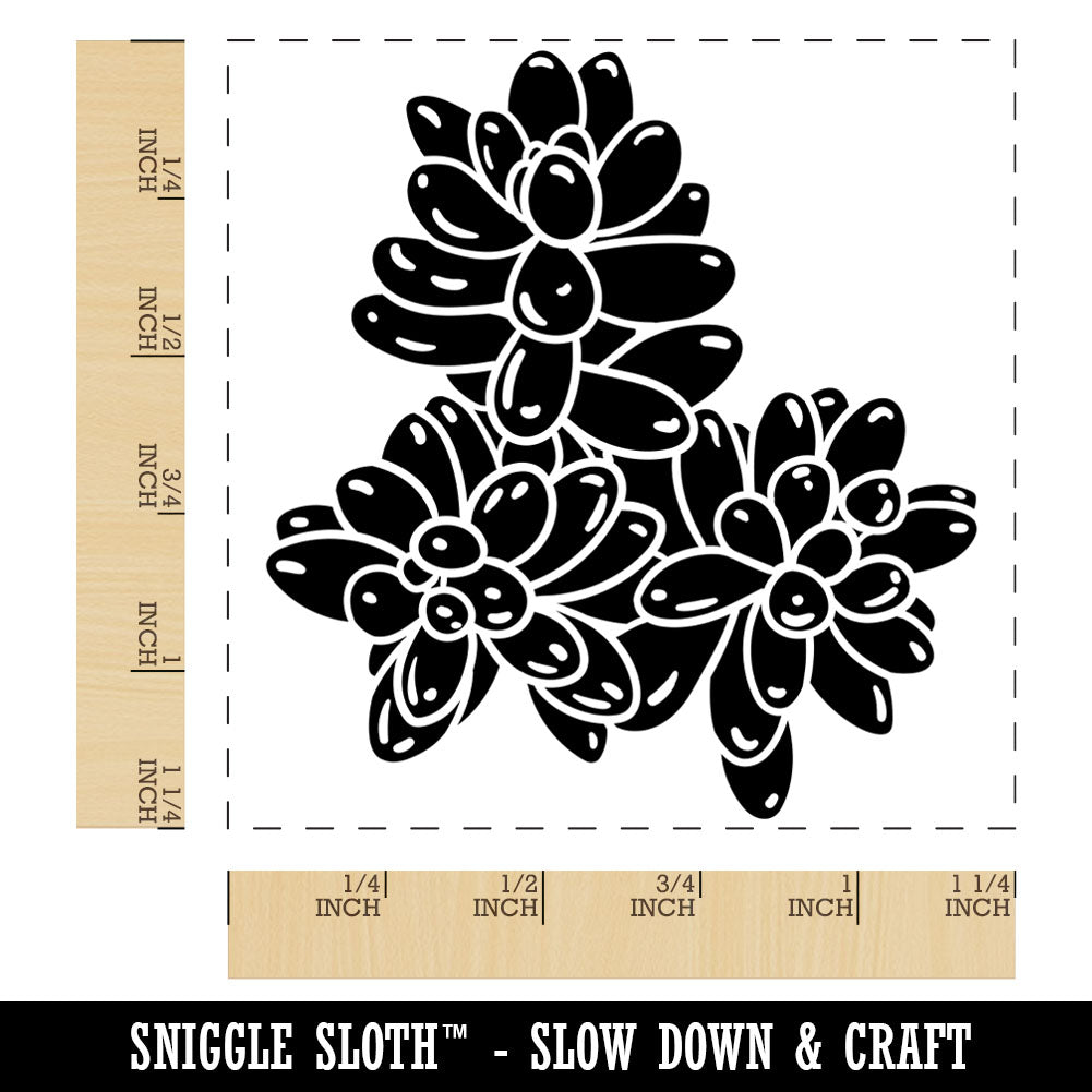 Sedum Rubrotinctum Jelly Bean Succulent Plant Square Rubber Stamp for Stamping Crafting