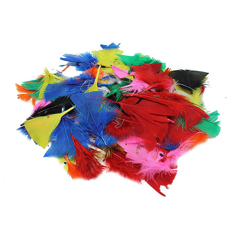 Turkey Feathers, Bright Colors, 14 Grams