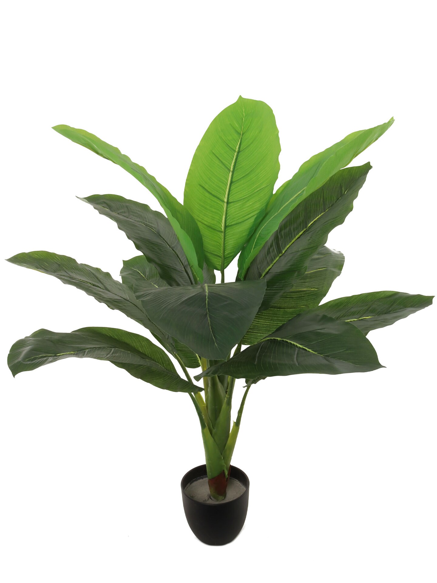 Lush 32" Artificial Banana Palm Plant - Lifelike Tropical Foliage, Perfect for Home & Office Decor, Floral Home by Artificial Flowers