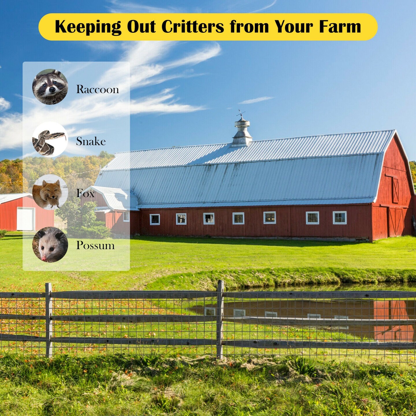 36 X 50 Inch Hardware Cloth 16 Gauge Black Vinyl Coated Welded Wire Mesh 1.5 Inch