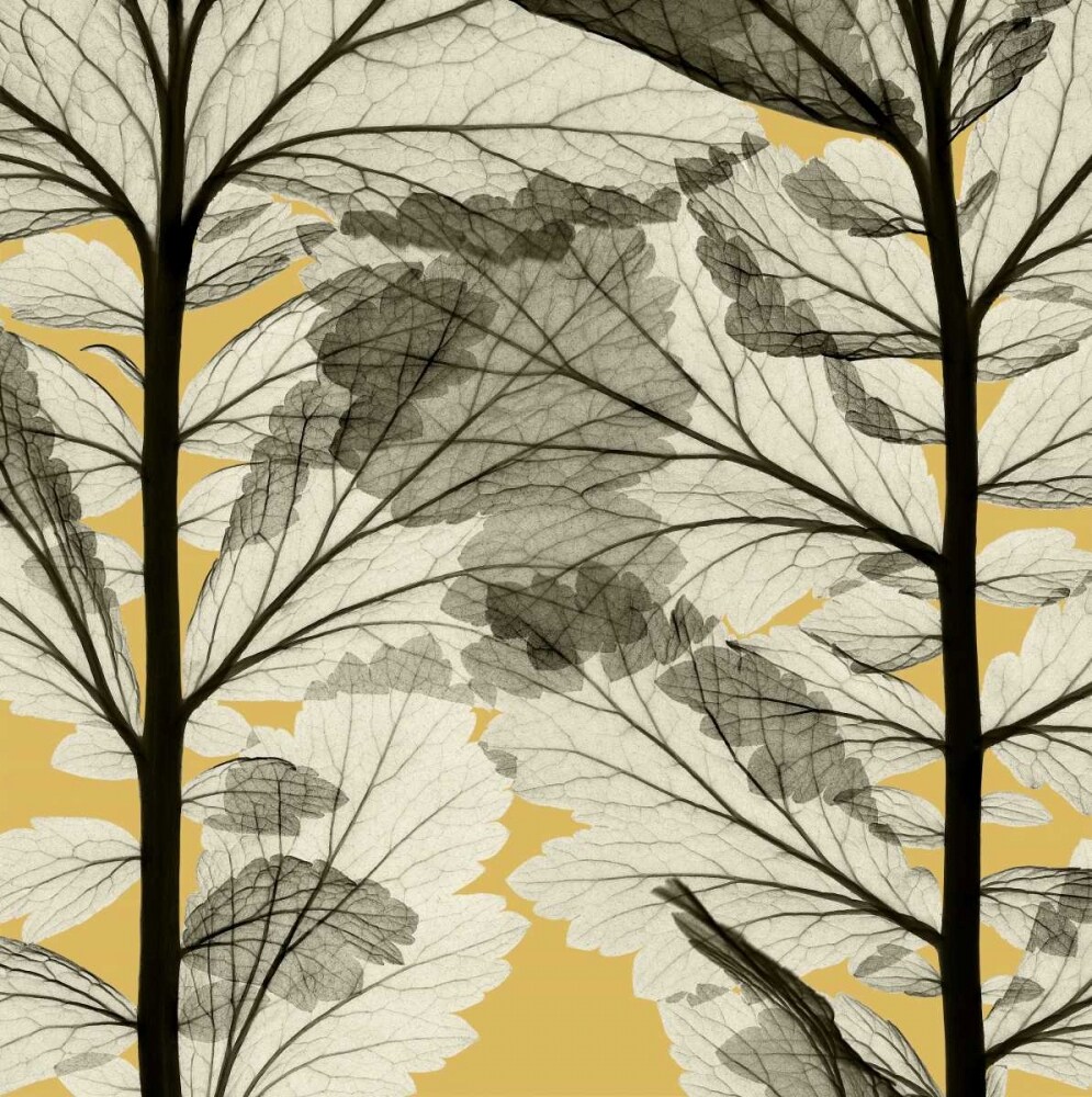 Leaf Forest - Yellow Poster Print by Steven N. Meyers - Item # VARPDXSM336A