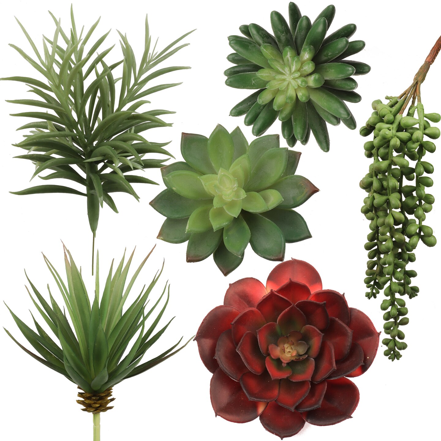 Six Pack Succulent Set, 6 Individual Picks, Natural Sized Artificial Plants, Aloe, Hanging Pearl for Arrangements, Pots, and School Projects