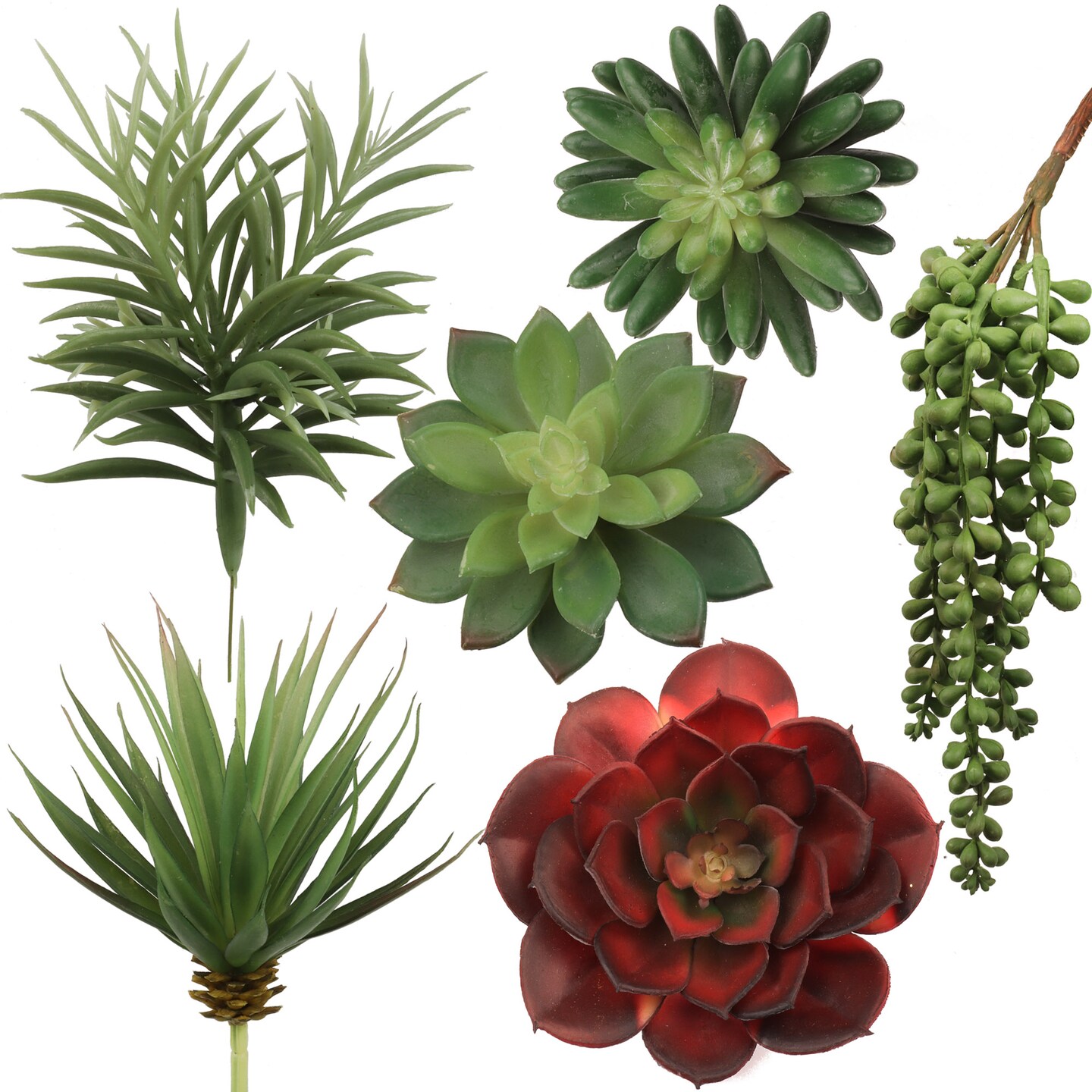 Six Pack Succulent Set, 6 Individual Picks, Natural Sized Artificial Plants, Aloe, Hanging Pearl for Arrangements, Pots, and School Projects, Floral Home by Artificial Flowers