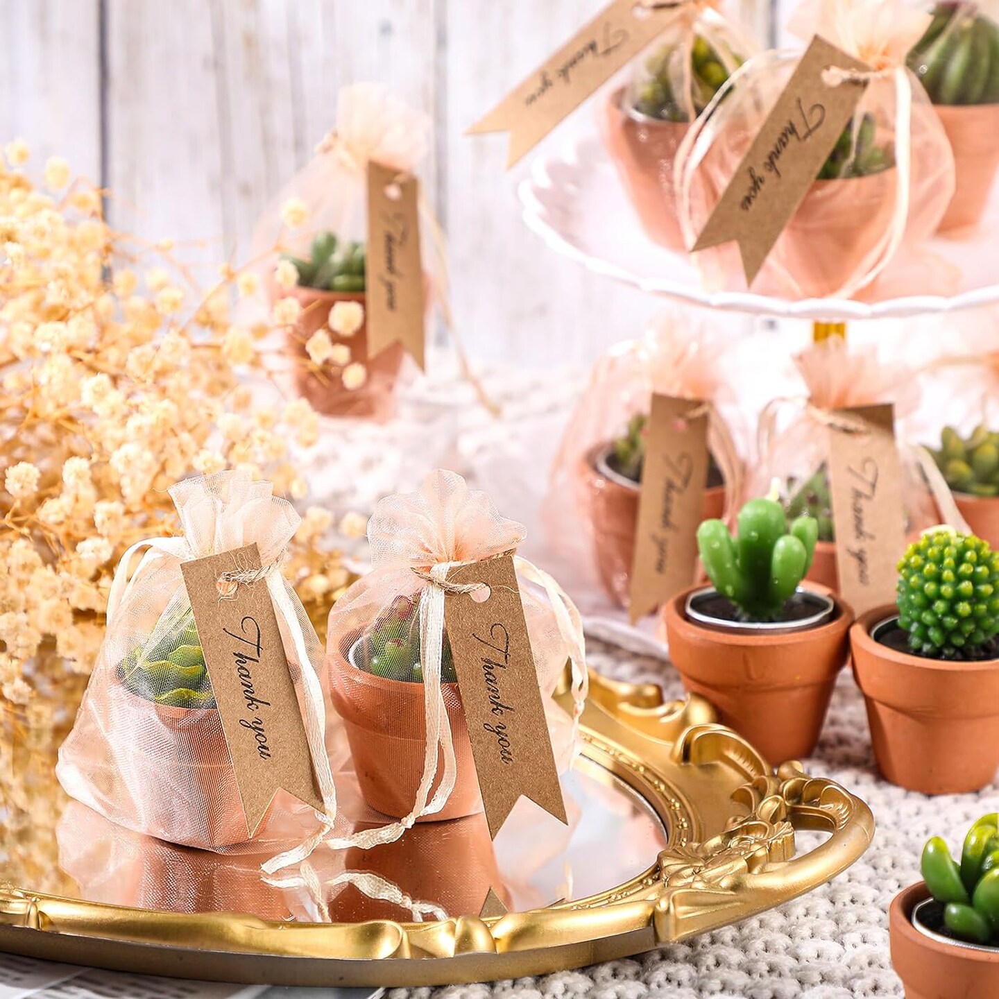 48-Pieces Succulent Cactus Tealight Candles Set with Mini Terracotta Pots, Gift Tags, Organza Bags