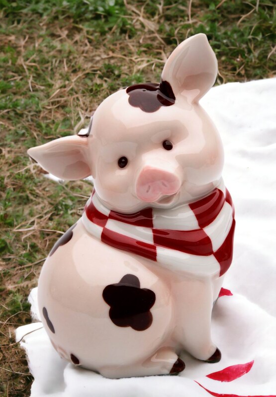 Ceramic Pig Piggy Bank, Home D&#xE9;cor, Gift for Her, Gift for Mom, Kitchen D&#xE9;cor, Farmhouse D&#xE9;cor