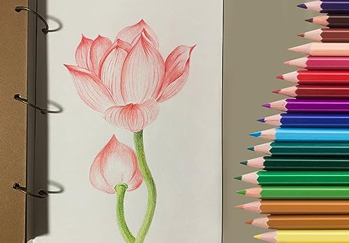 50 Pieces Colored Pencils,50 Vibrant Colors, Drawing Pencils for Sketch, Arts, Coloring Books, Christmas Halloween Gifts