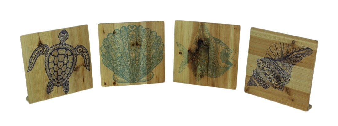 Set of 4 Wood Turtle Fish and Shell Blocks