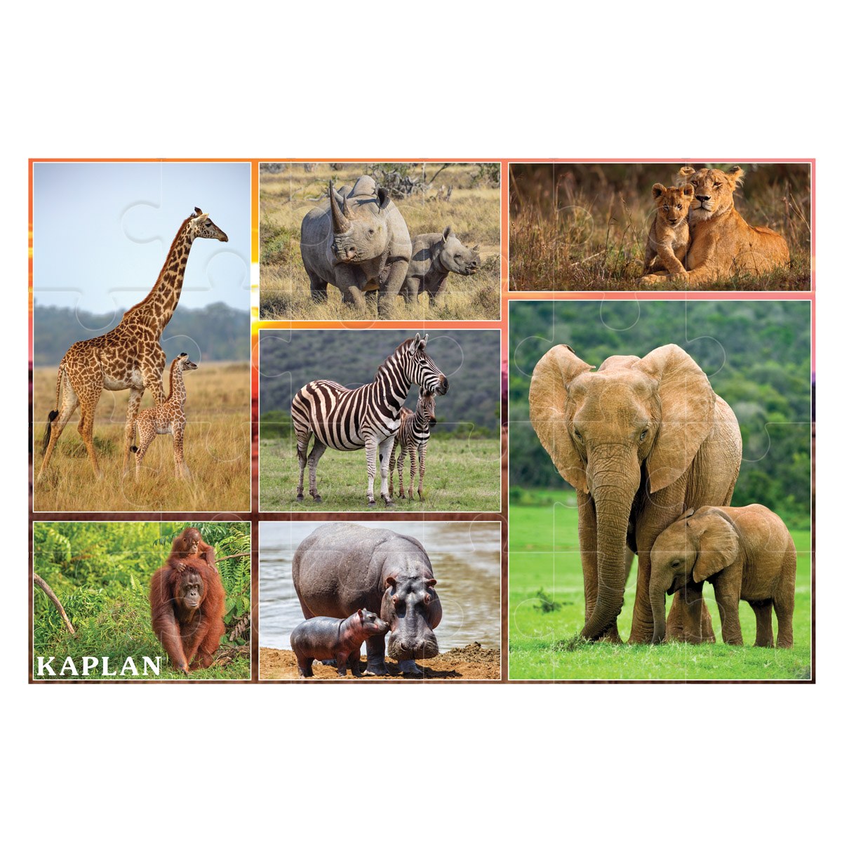 Kaplan Early Learning Company Wild Animals Mother and Baby Photo Real Floor Puzzle - 24 Pieces