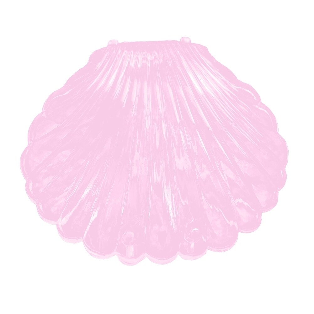 Transparent Seashell Shape Jewelry Necklace Bracelet Storage Organizer Box Case