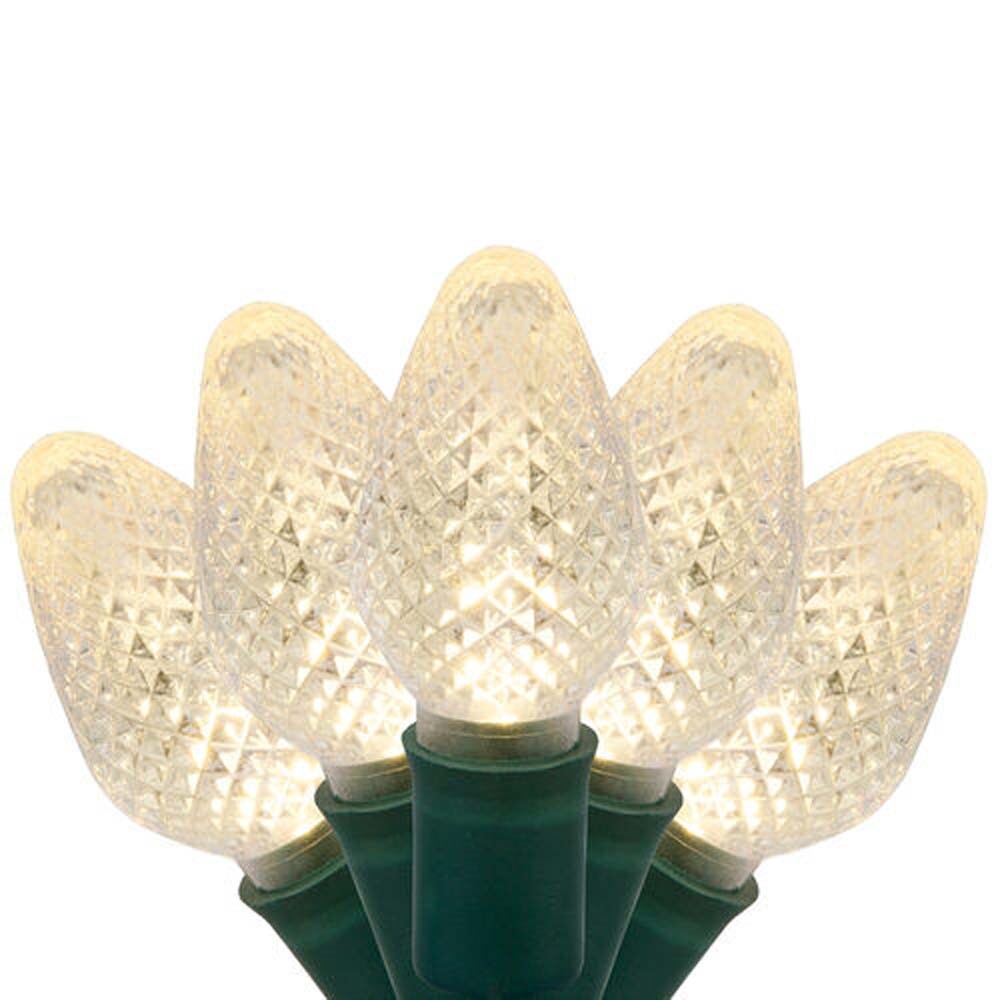 25 Warm White C7 LED Christmas Lights, Green Wire, 8" Spacing