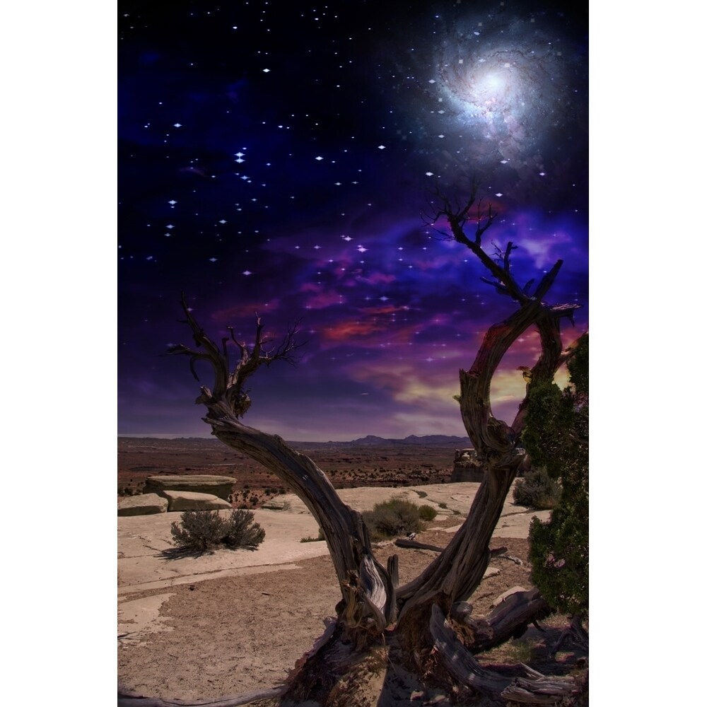 Desert Tree And Horizon. Galaxy In Vivid Sky Poster Print By Bruce Rolff/Stocktrek Images