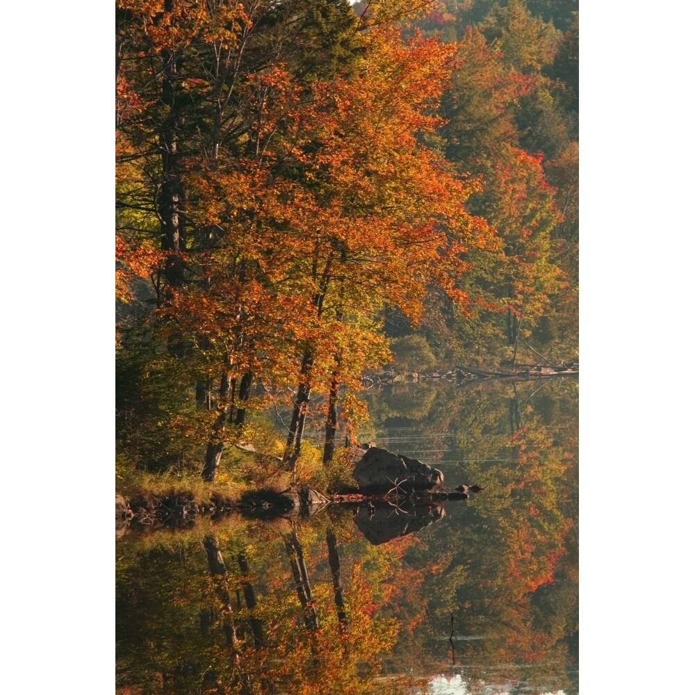 Autumn Scenic Poster Print