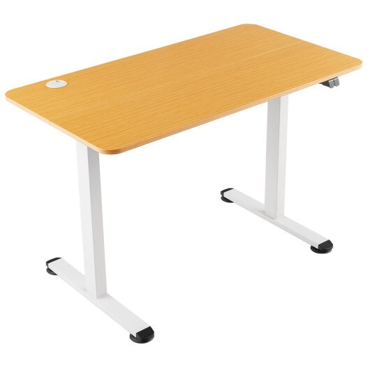 45.5 Inch Electric Height Adjustable Standing Desk with 2-Button Controller and Metal Frame