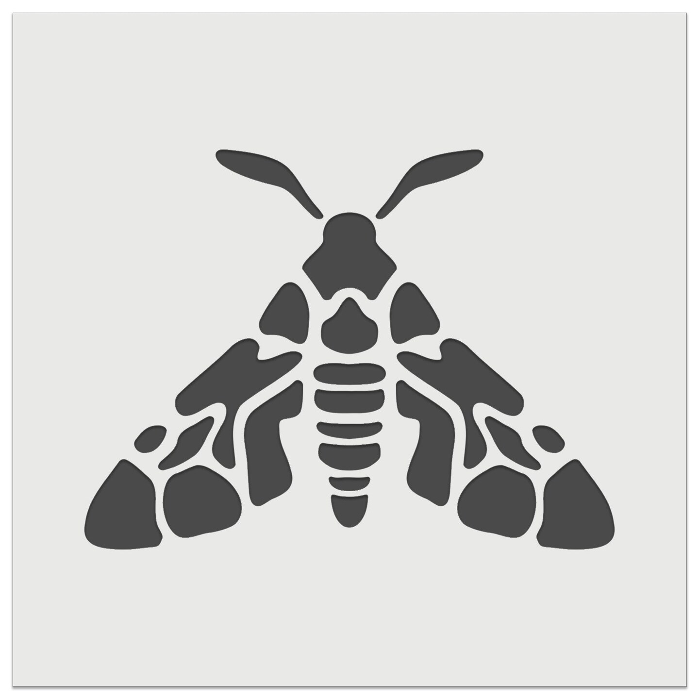 Artsy Detailed Moth Spring Summer Nature Lamp Wall Cookie DIY Craft Reusable Stencil
